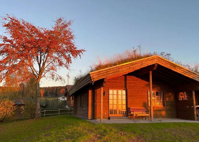 Eifel-ardennen Blockhaus Viebighaus Ferienhaus Buchet