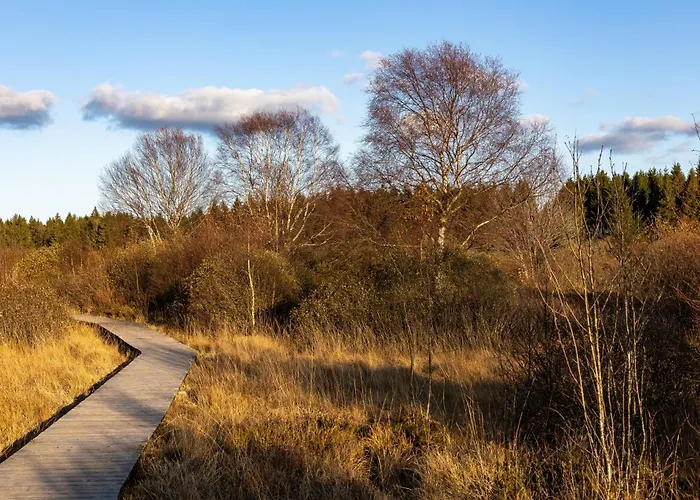Eifel-ardennen Blockhaus Viebighaus * Buchet