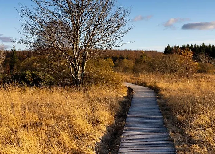Eifel-ardennen Blockhaus Viebighaus Ferienhaus