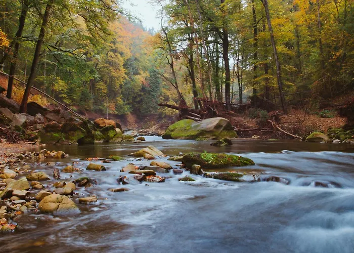 Ferienhaus Eifel-ardennen Blockhaus Viebighaus