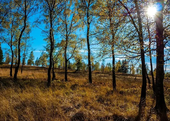 Ferienhaus Eifel-ardennen Blockhaus Viebighaus *